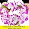 12 Bulk Hawaiian Leis for Adults – Vibrant Artificial Flower Leis for Luau Party, Beach Theme Decorations